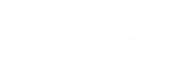 logo palacio services